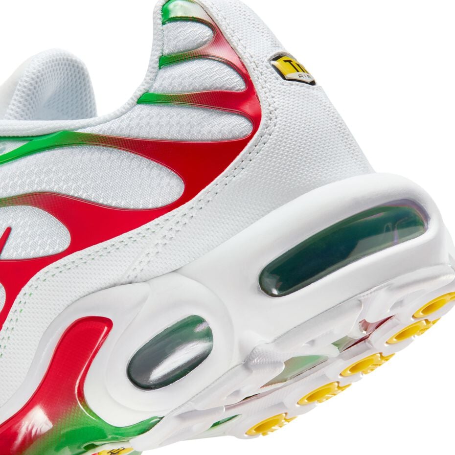 The Nike Air Max Plus "Italy"