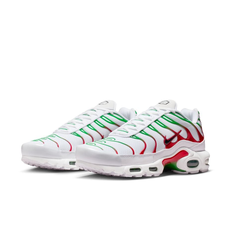 The Nike Air Max Plus "Italy"