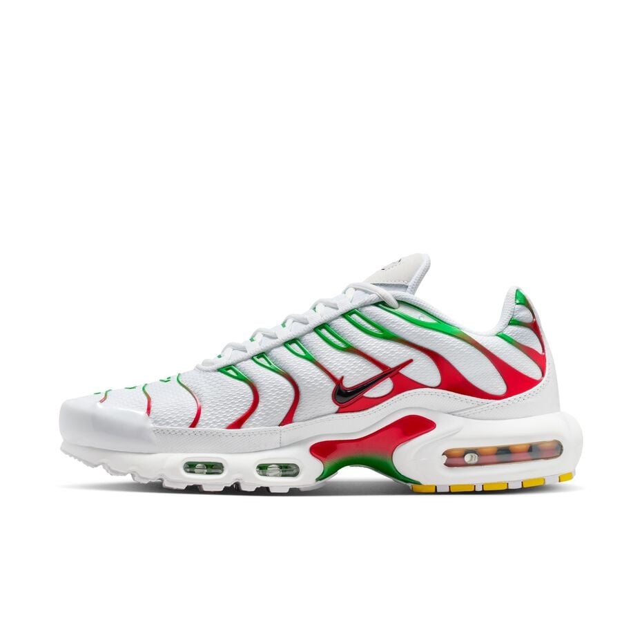 The Nike Air Max Plus "Italy"