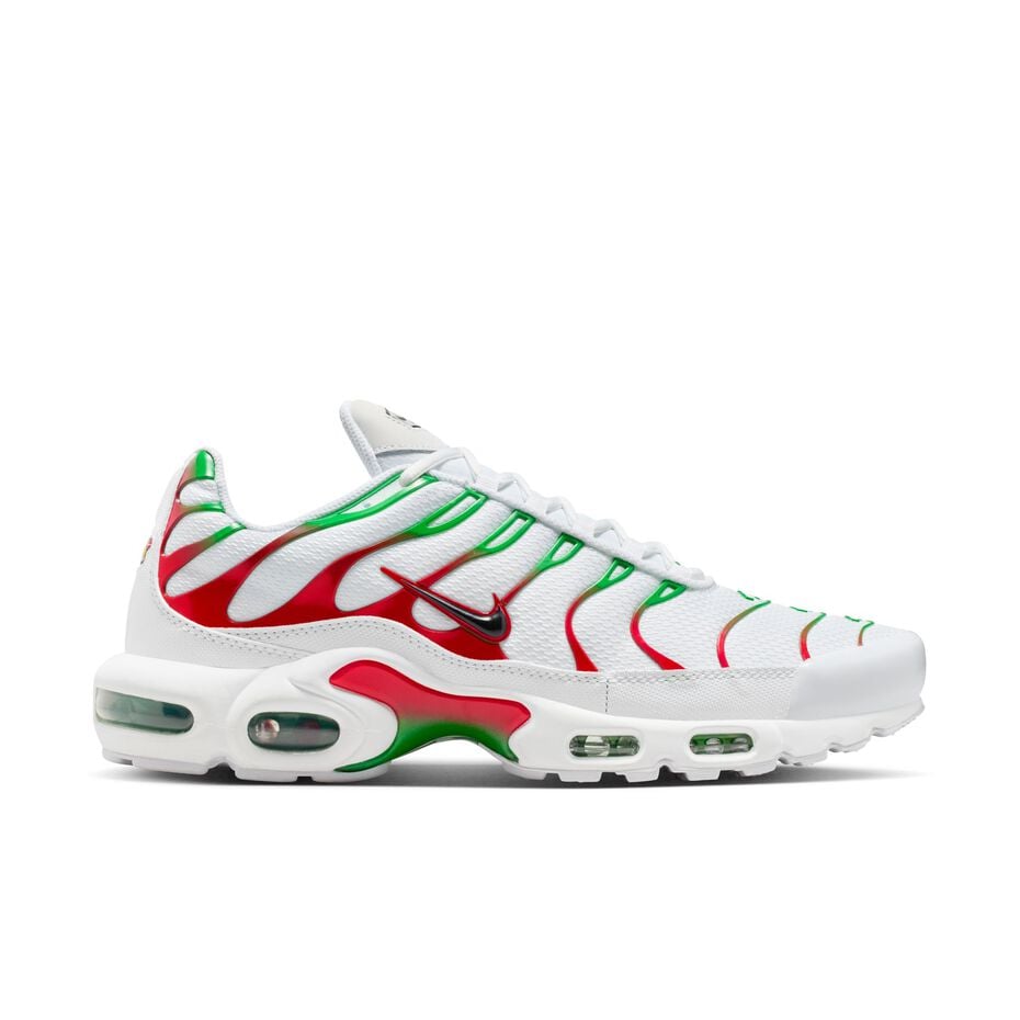 The Nike Air Max Plus "Italy"