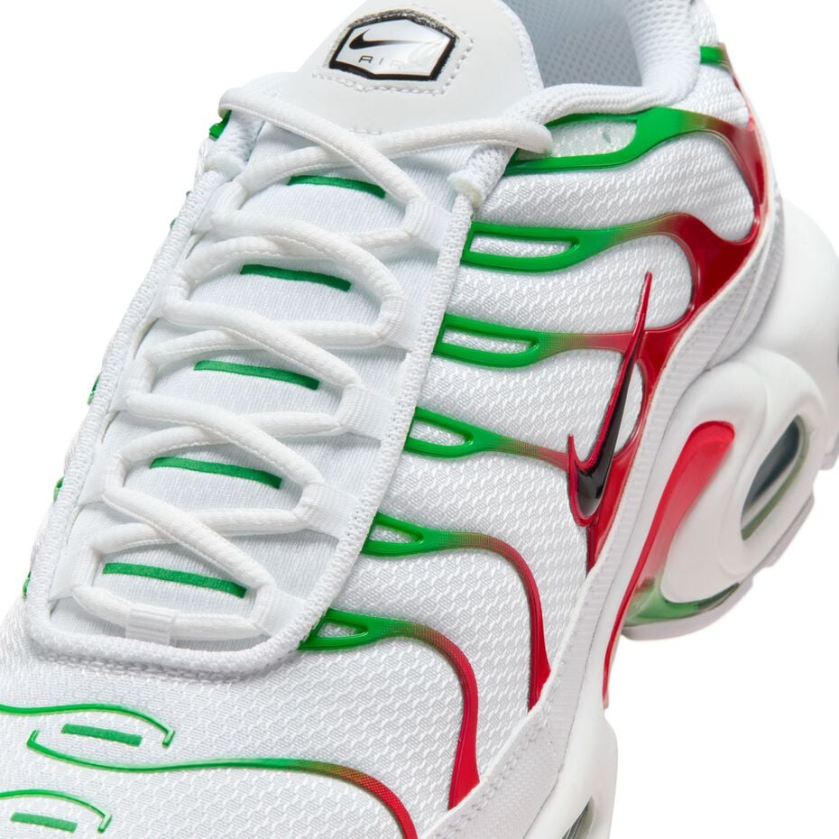 The Nike Air Max Plus "Italy"