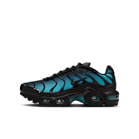 Nike Air Max Plus blue black