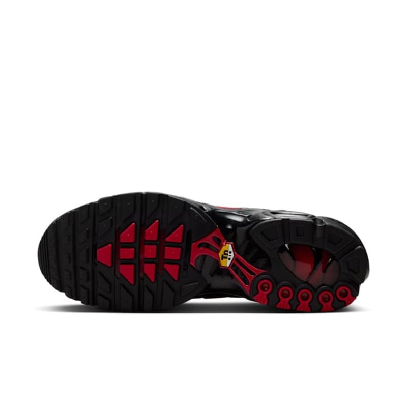 Nike Air Max Plus tuned